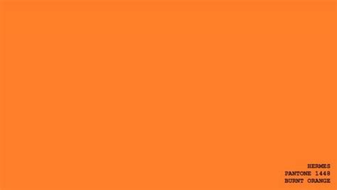 pantone 1448 hermes orange.